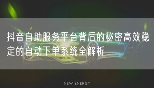 抖音自助服务平台背后的秘密高效稳定的自动下单系统全解析