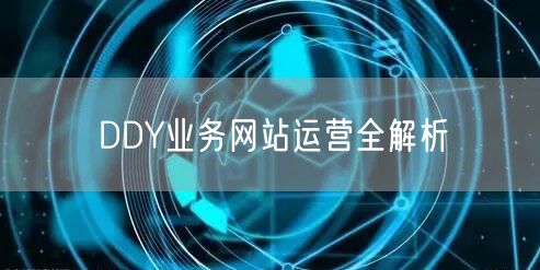 DDY业务网站运营全解析