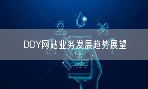 DDY网站业务发展趋势展望