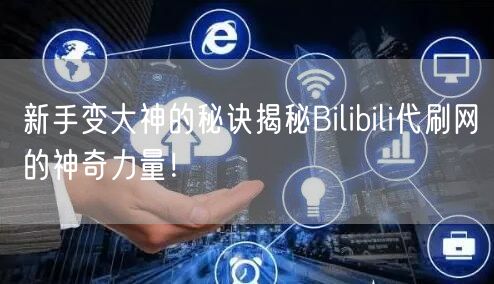 新手变大神的秘诀揭秘Bilibili代刷网的神奇力量！