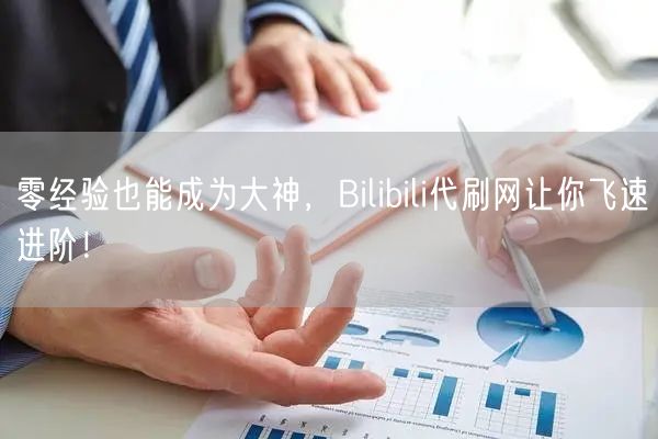 零经验也能成为大神，Bilibili代刷网让你飞速进阶！