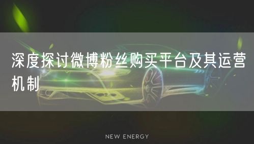 深度探讨微博粉丝购买平台及其运营机制