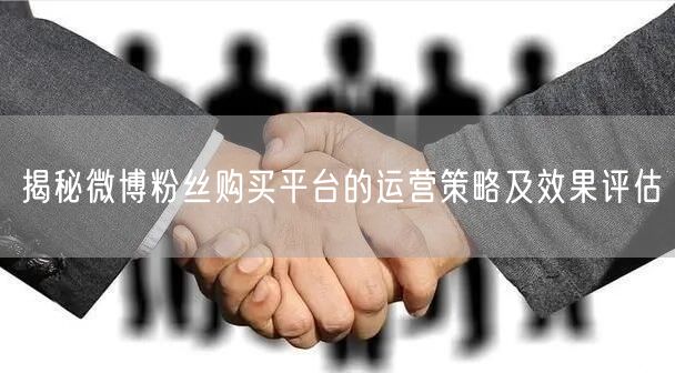 揭秘微博粉丝购买平台的运营策略及效果评估