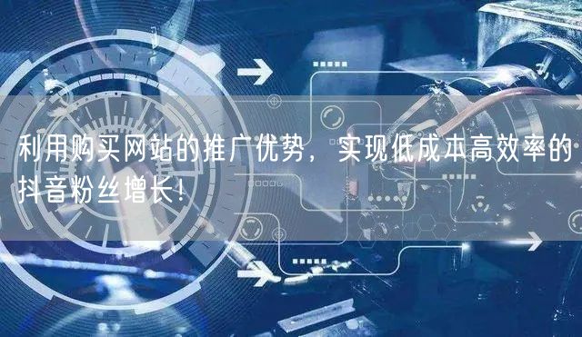 利用购买网站的推广优势，实现低成本高效率的抖音粉丝增长！