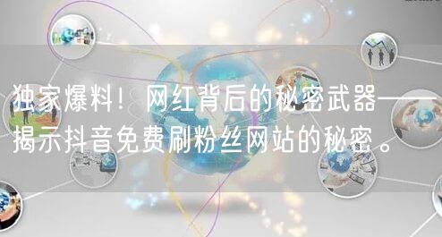独家爆料！网红背后的秘密武器——揭示抖音免费刷粉丝网站的秘密。
