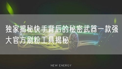 独家揭秘快手背后的秘密武器一款强大官方刷粉工具揭秘