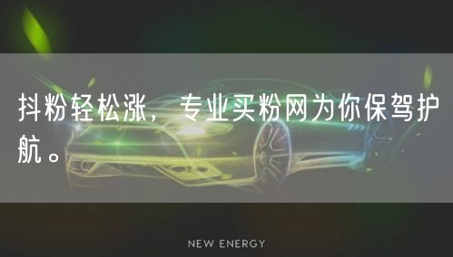 抖粉轻松涨，专业买粉网为你保驾护航。