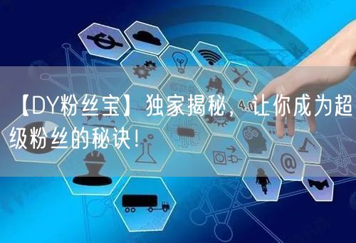 【DY粉丝宝】独家揭秘，让你成为超级粉丝的秘诀！