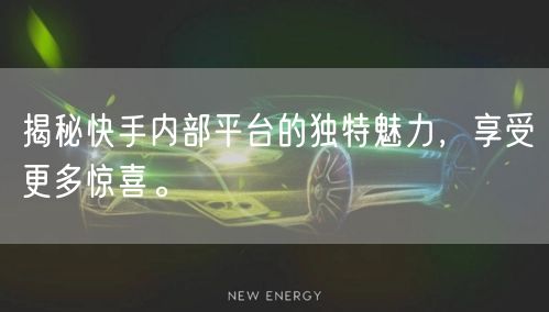 揭秘快手内部平台的独特魅力，享受更多惊喜。