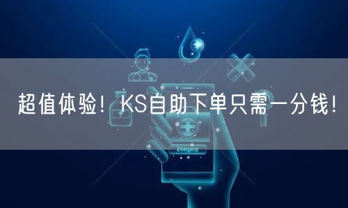 超值体验！KS自助下单只需一分钱！